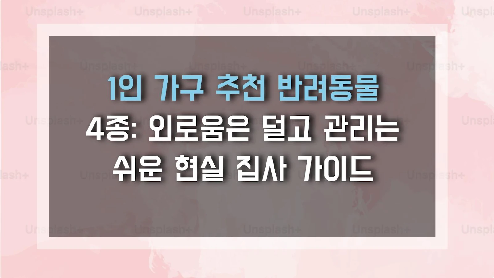 1인 가구 추천 반려동물 4종: 외로움은 덜고 관리는 쉬운 현실 집사 가이드
