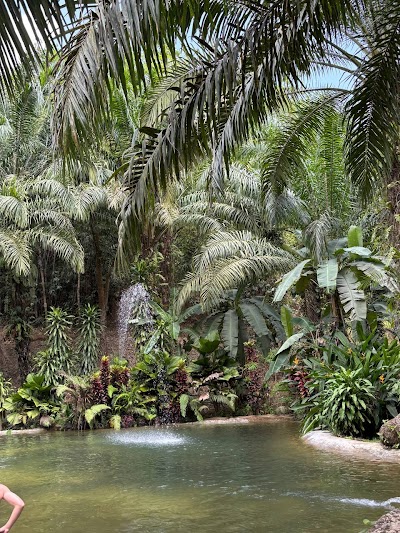 Приватный · RAFTING + ELEPHANT SPA (1-DAY TRIP) photo 2