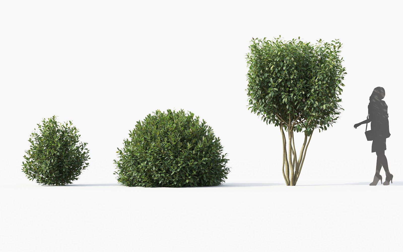 Maxtree - Plant Models Vol.28