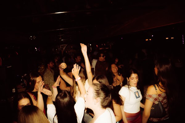Paradisco photo 17