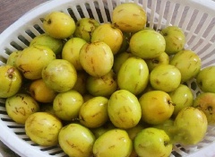 Táo ta mua về đem rửa qua với nước rồi dùng nĩa hoặc tăm nhọn đâm thủng lỗ trên mặt quả táo. Hòa vôi với nước rồi để lắng, gạn lấy nước trong, cho táo vào ngâm với nước vôi trong tầm 2 giờ đồng hồ. Sau đó vớt ra rửa sạch với nhiều nước.