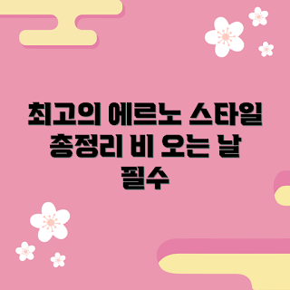 에르노레인코트 추천, 인기 에르노레인코트, 왜 에르노레인코트를 선택해야 하나, 에르노레인코트 스타일, 에르노레인코트 어떤 게 좋을까