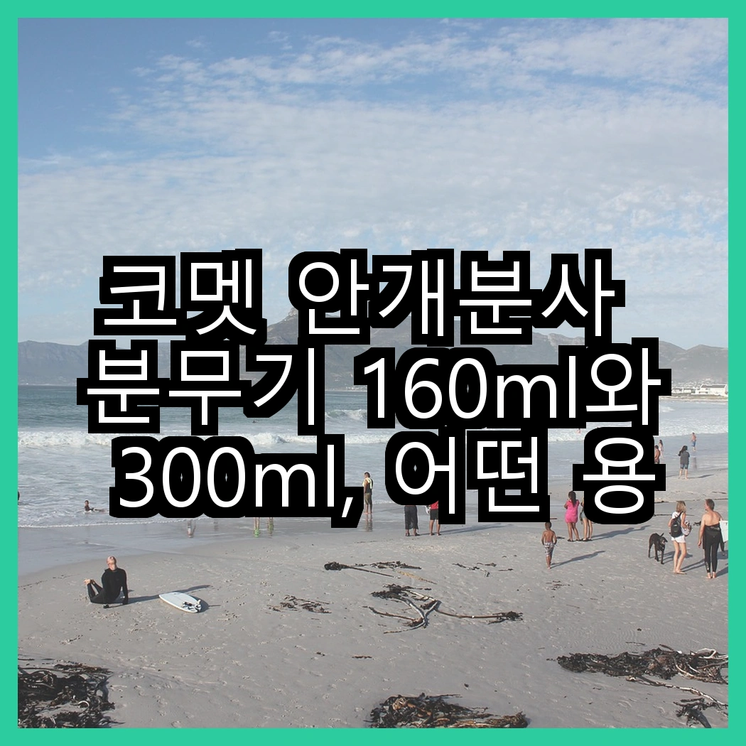 코멧 안개분사 분무기 160ml와 300ml, 어떤 용도가 더 적합할까? 썸네일