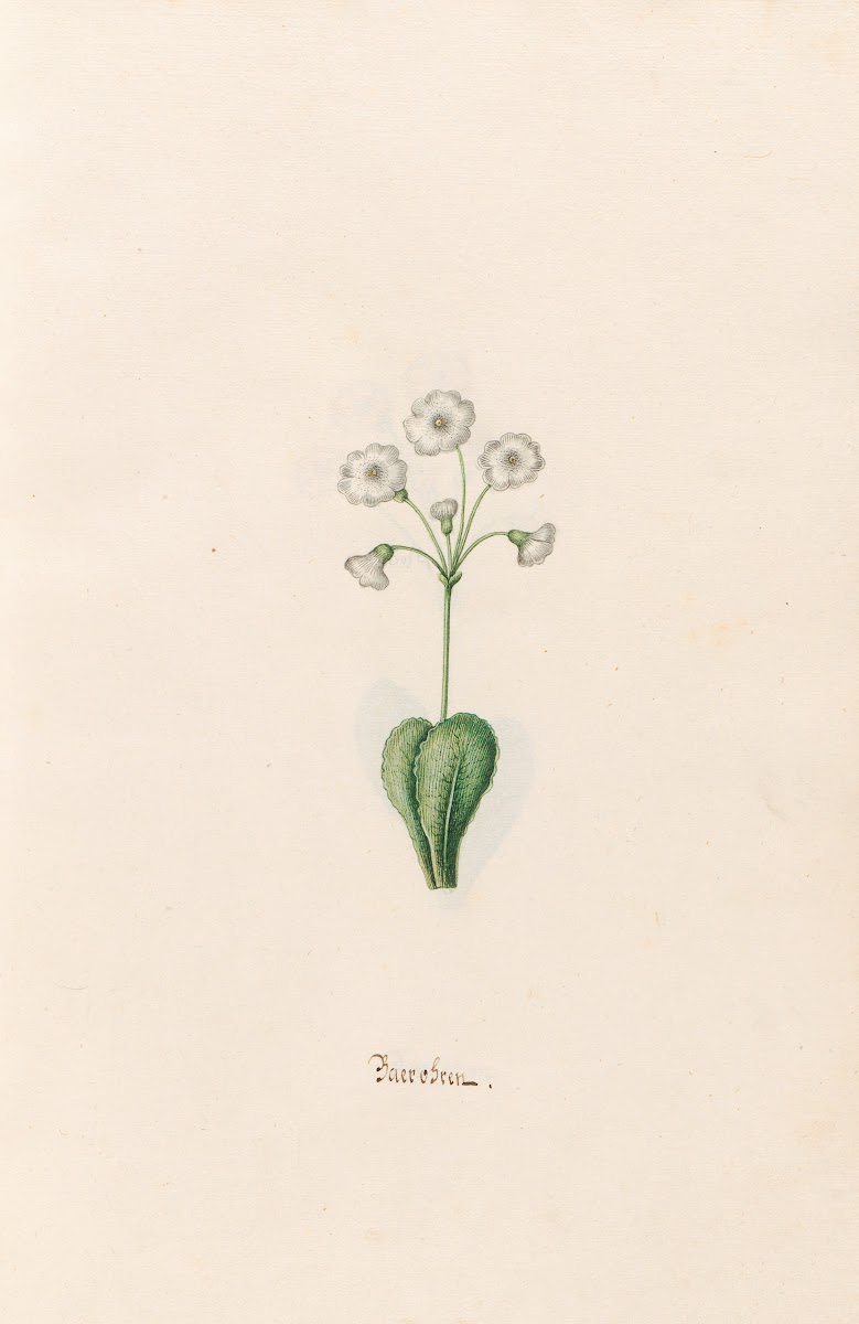 Baerobren 1692
