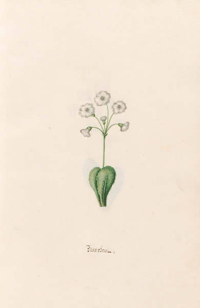 Baerobren 1692