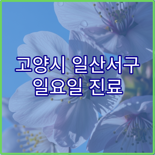 고양시 일산서구 일요일 진료 응급의학과 병원 응급 처치·외상 진료 가능