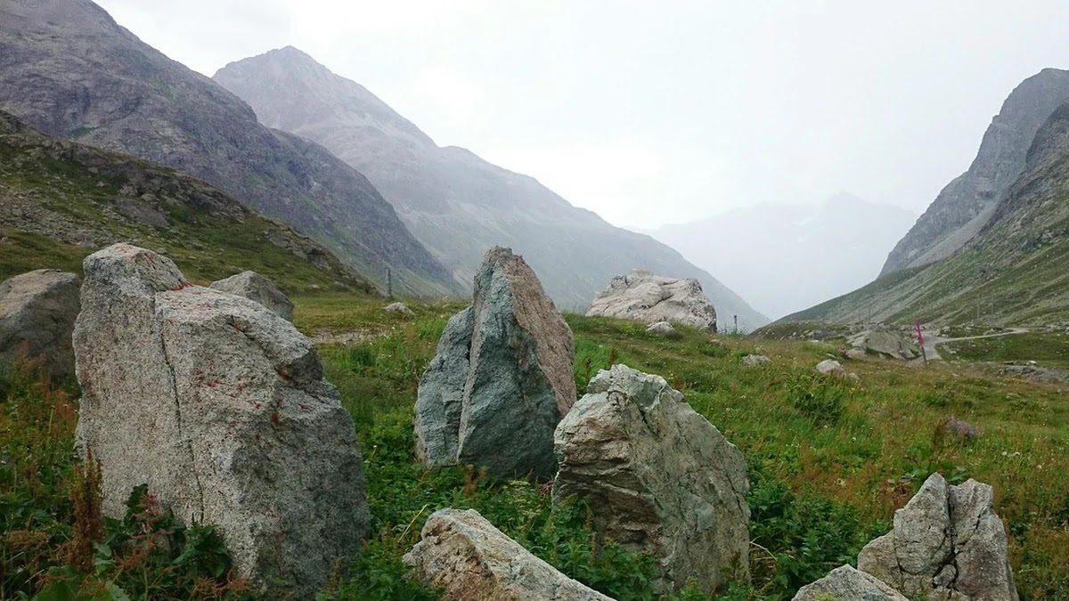 해외법인 이익배분 방식별 세무 리스크와 절세 방안
