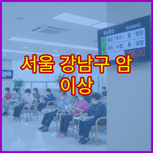 서울 강남구 암 이상 증상 정밀 검진 예약 가능한 강남구 병원
