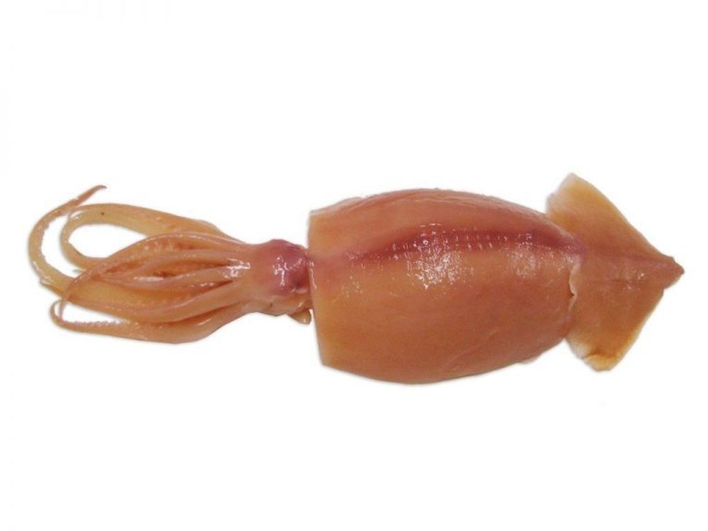 Sotong Kembang 5Kg/Pkt