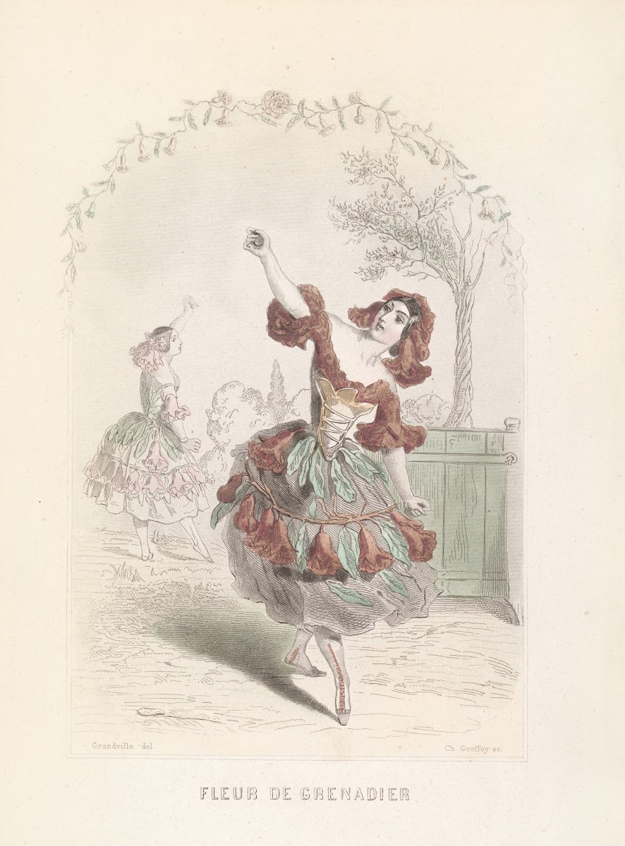 Fleur De Grenadier 1840s