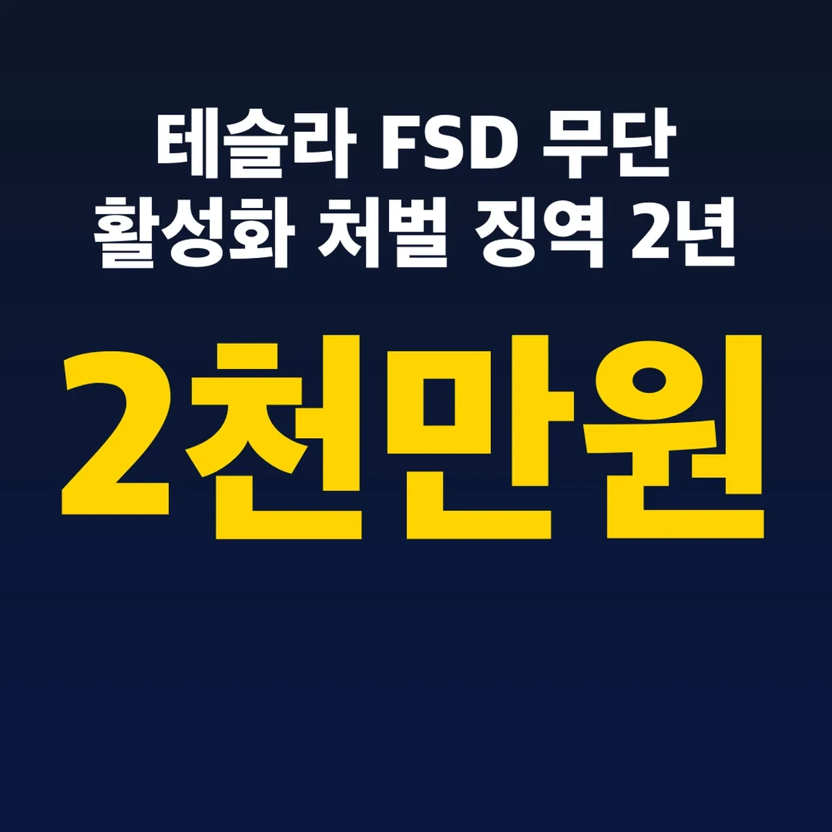 테슬라 FSD 무단 활성화 처벌 징역 2년 벌금 2천만원