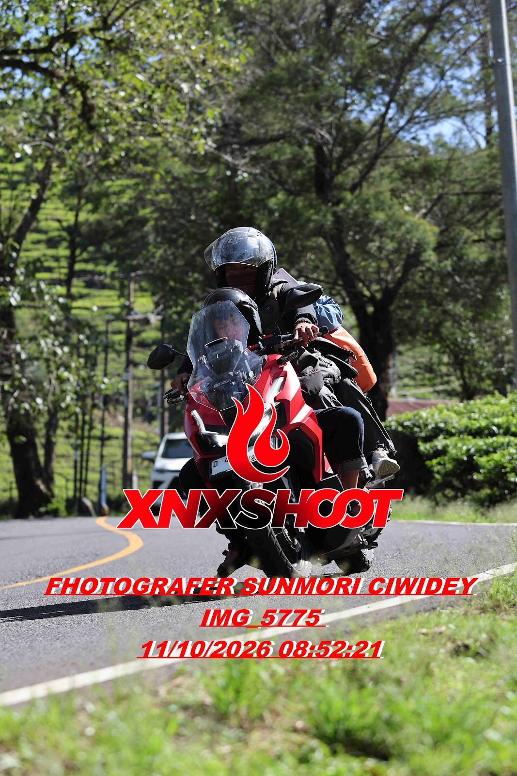 IMG_5775_result.jpg