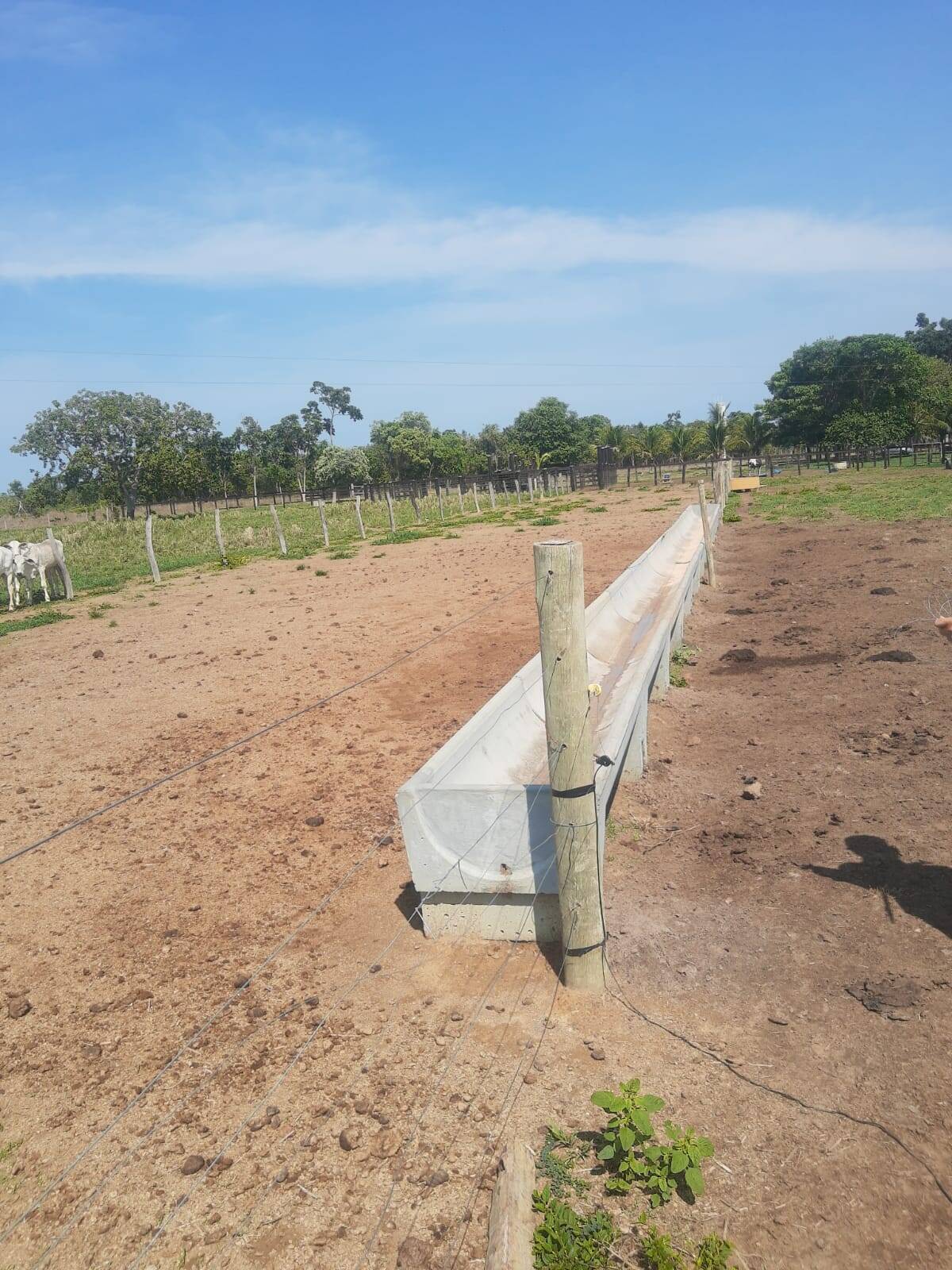 Fazenda em Niquelândia - GO 9
