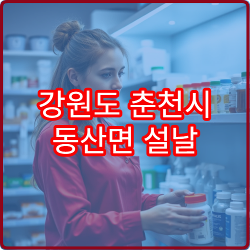 강원도 춘천시 동산면 설날 연휴 당직약국 위치와 시간 확인