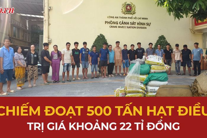 'Phù phép' xe container chiếm đoạt 500 tấn hạt điều, trị giá khoảng 22 tỉ đồng - Báo Pháp Luật TP.HCM