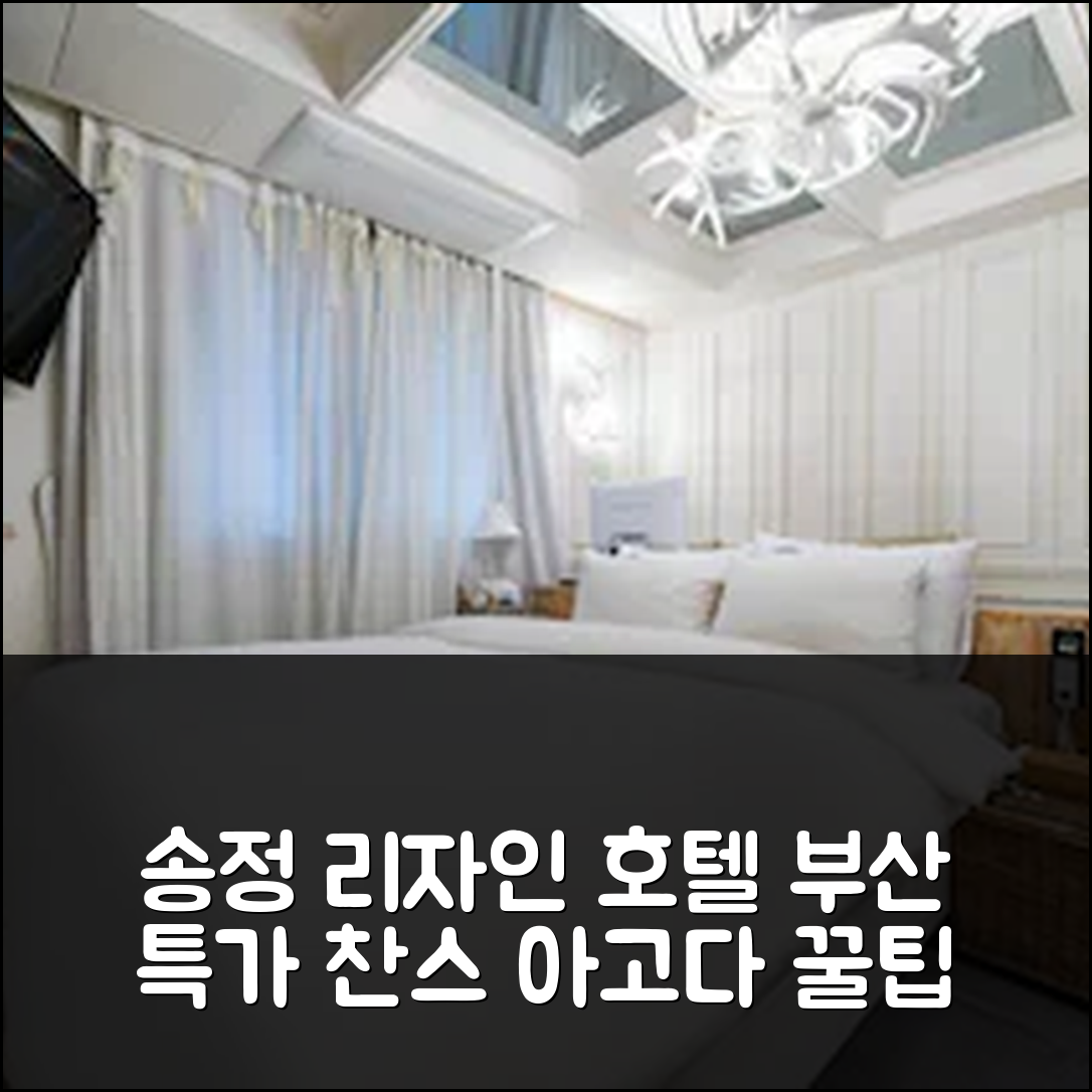 송정 리자인 호텔 부산 특가 예약 후기 꿀팁 - 아고다 호텔 추천