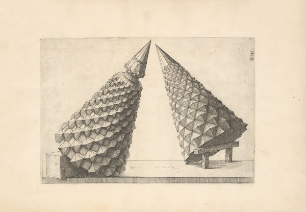 Perspectiva Corporum Regularium Perspective of regular solids Pl39 1568