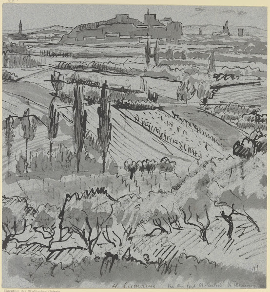 Blick auf Fort St André bei Villeneuve