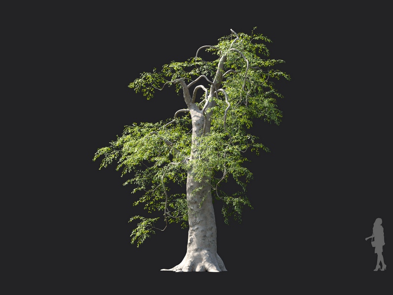 Maxtree - Plant Models Vol.130