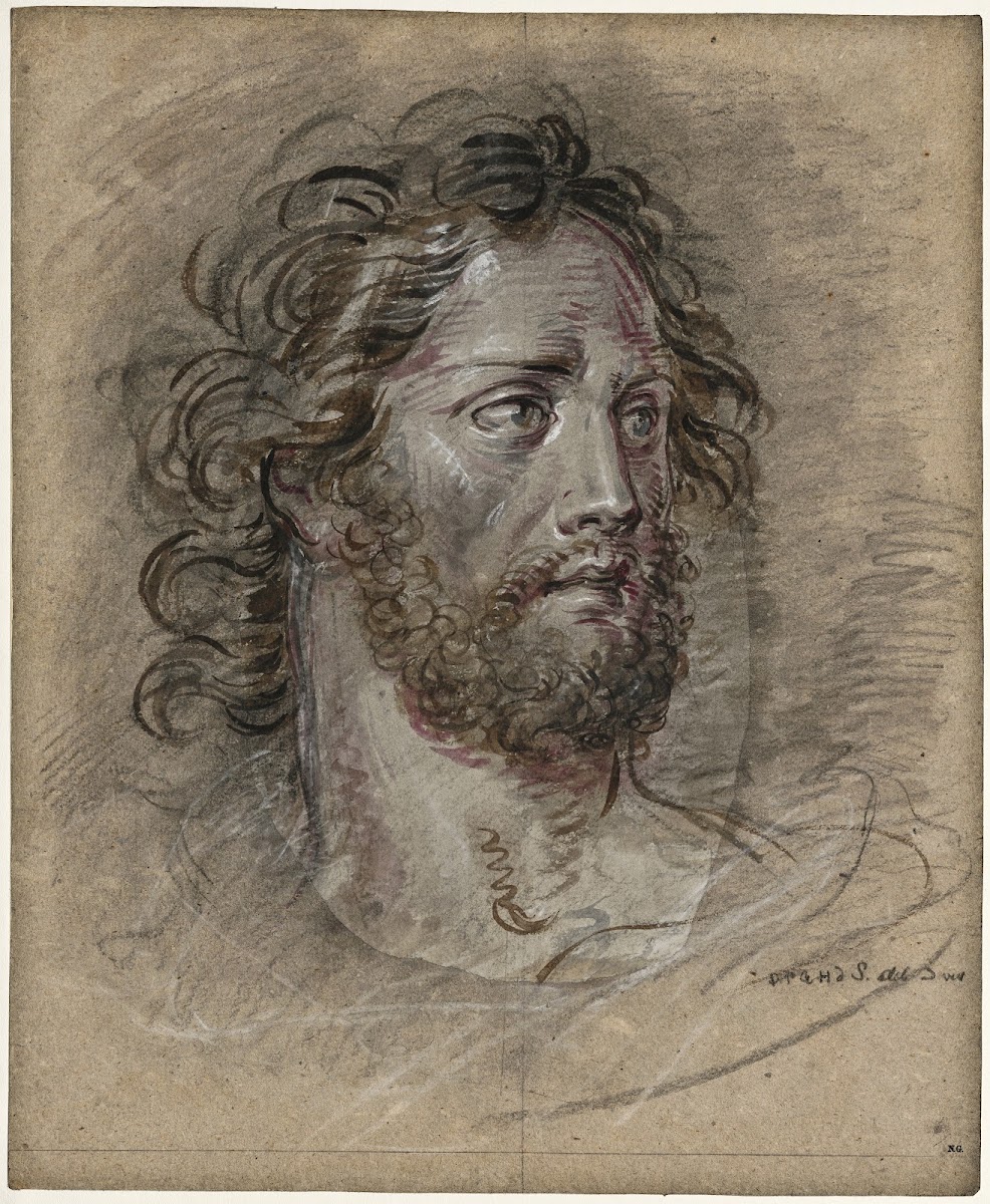 Head of a man with a beard