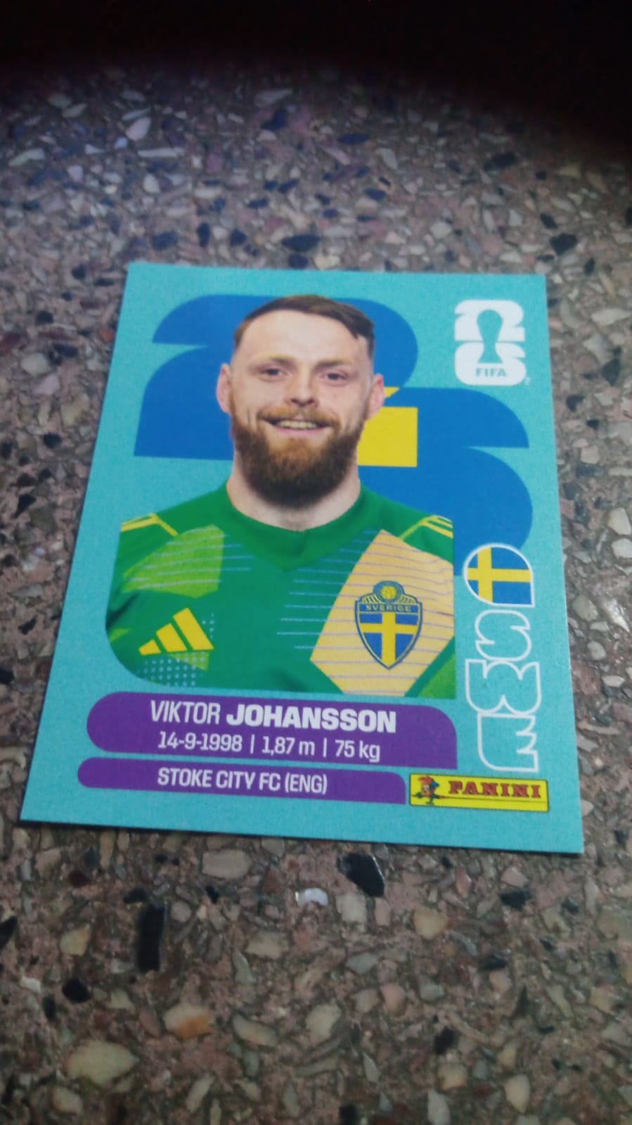 Goleiro Johansson 