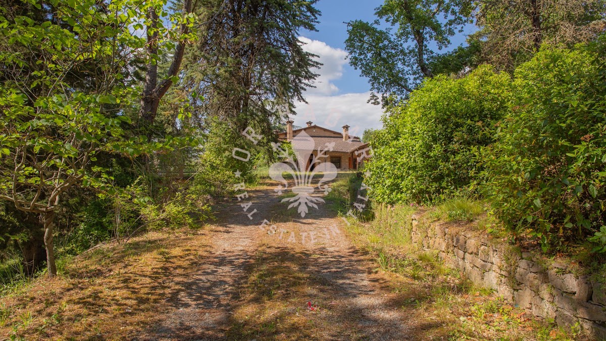 הפודרה דיי פיני (Il Podere dei Pini) — 3