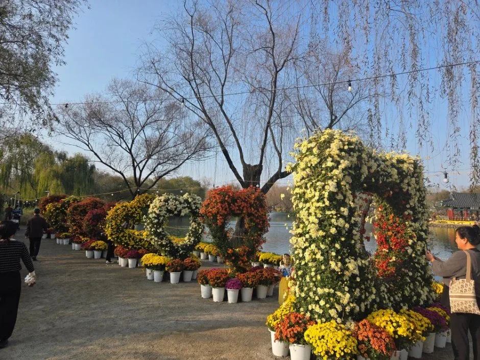 부여국화축제 사진(한국관광공사)
