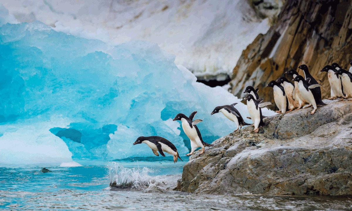 La Antártida como escenario estratégico: Formación ejecutiva internacional de ITAE (España) y CEEN (Chile)