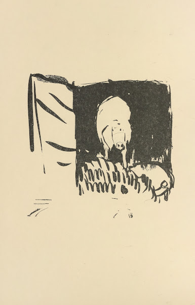 Histoires naturelles Pl 23 1922