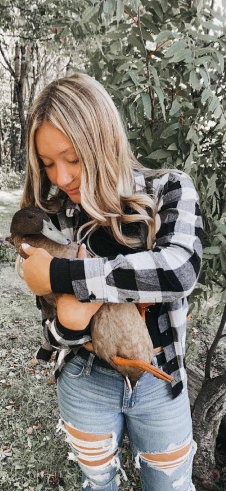 Khaki Campbell Duckling