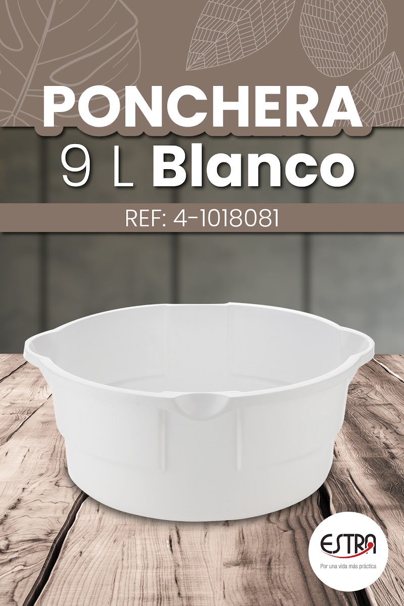 Plantilla 5