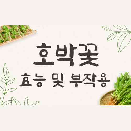 호박꽃 효능과 부작용 정리! 호박·호박씨 먹는 법까지 알아보기