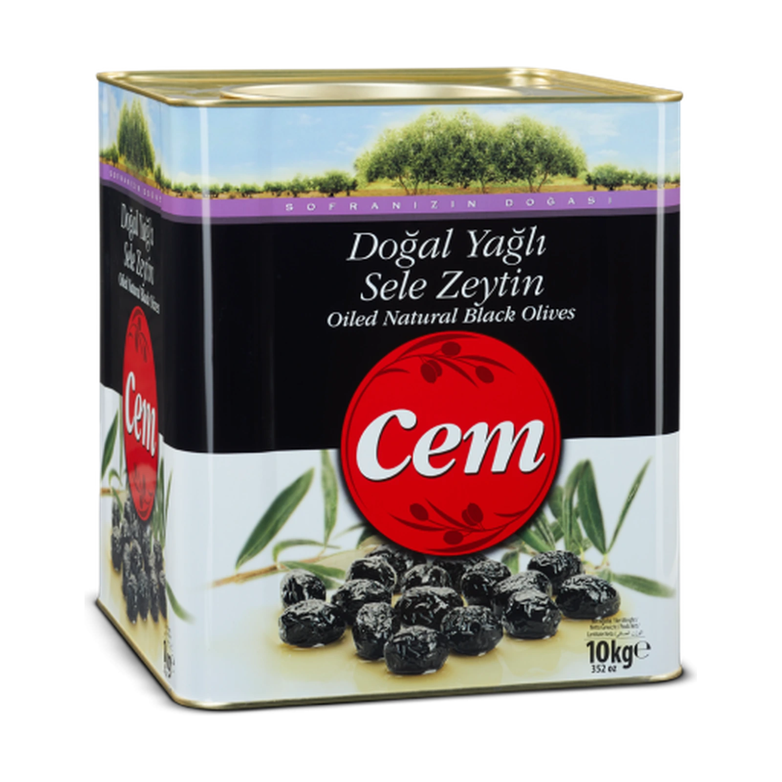 Suvo soljene crne masline, premazane uljem