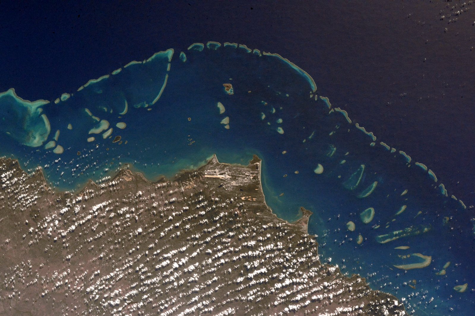 Great Barrier Reef: Keajaiban Karang Terbesar di Dunia