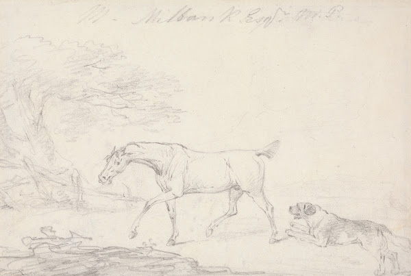 Horse and Dog