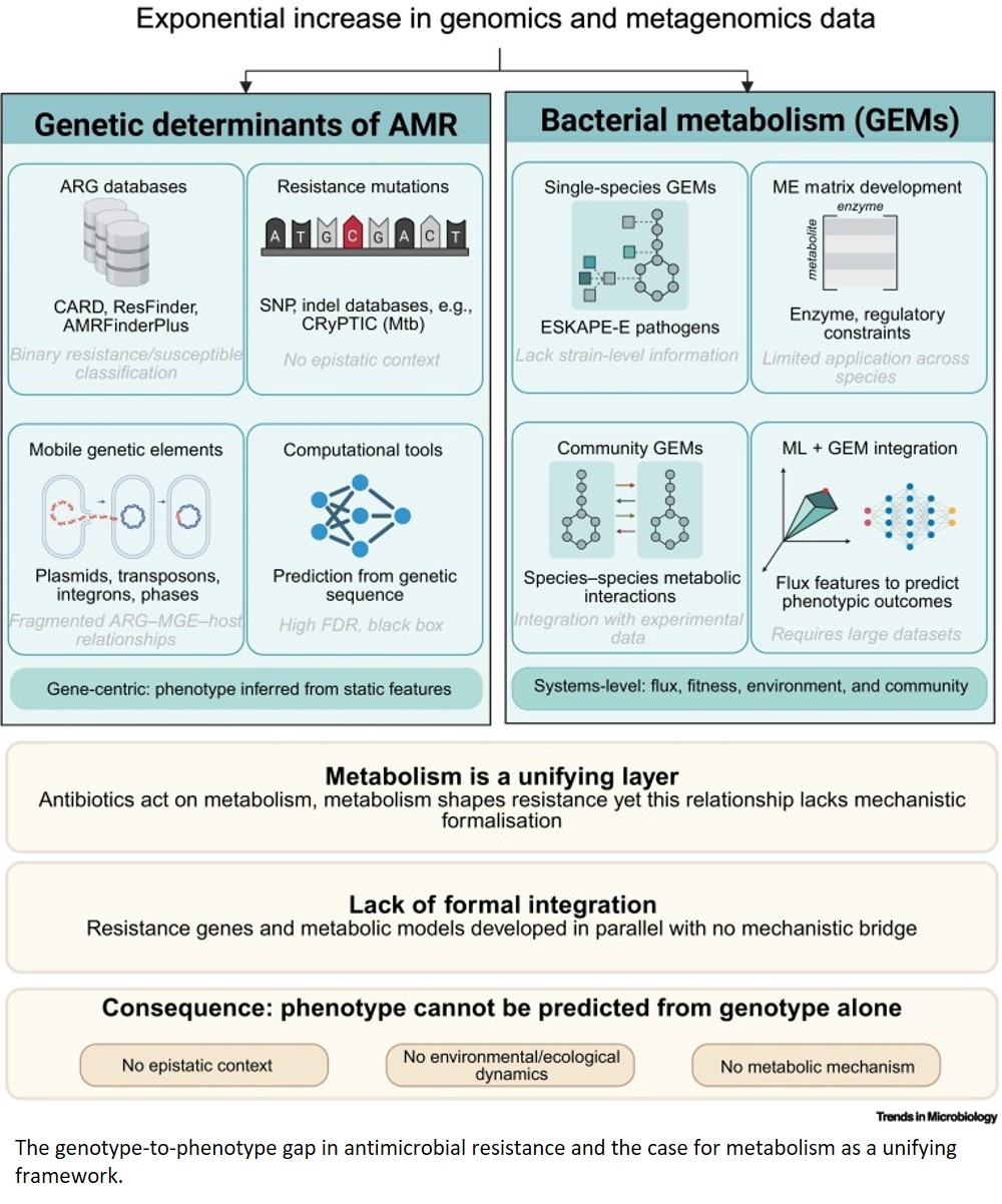 Microbial resistance from genotype to metabolic phenotype