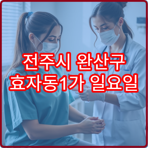 전주시 완산구 효자동1가 일요일 진료 정형외과 허리 무릎 통증 치료