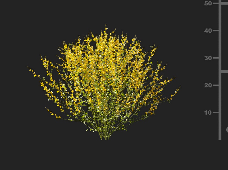 Maxtree - Plant Models Vol.127