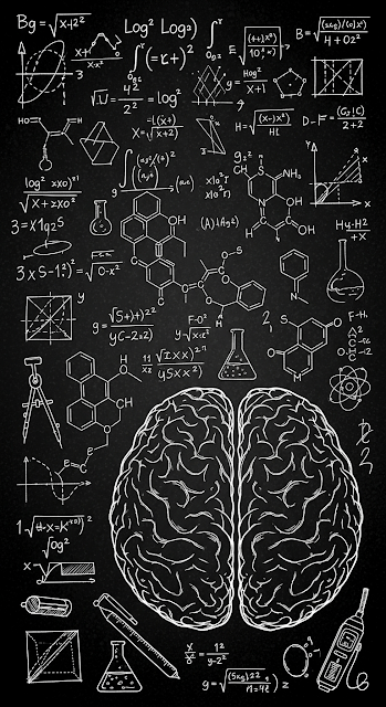 Black and White Science Doodle of Brain and Formulas on Chalkboard - Free mobile Wallpaper