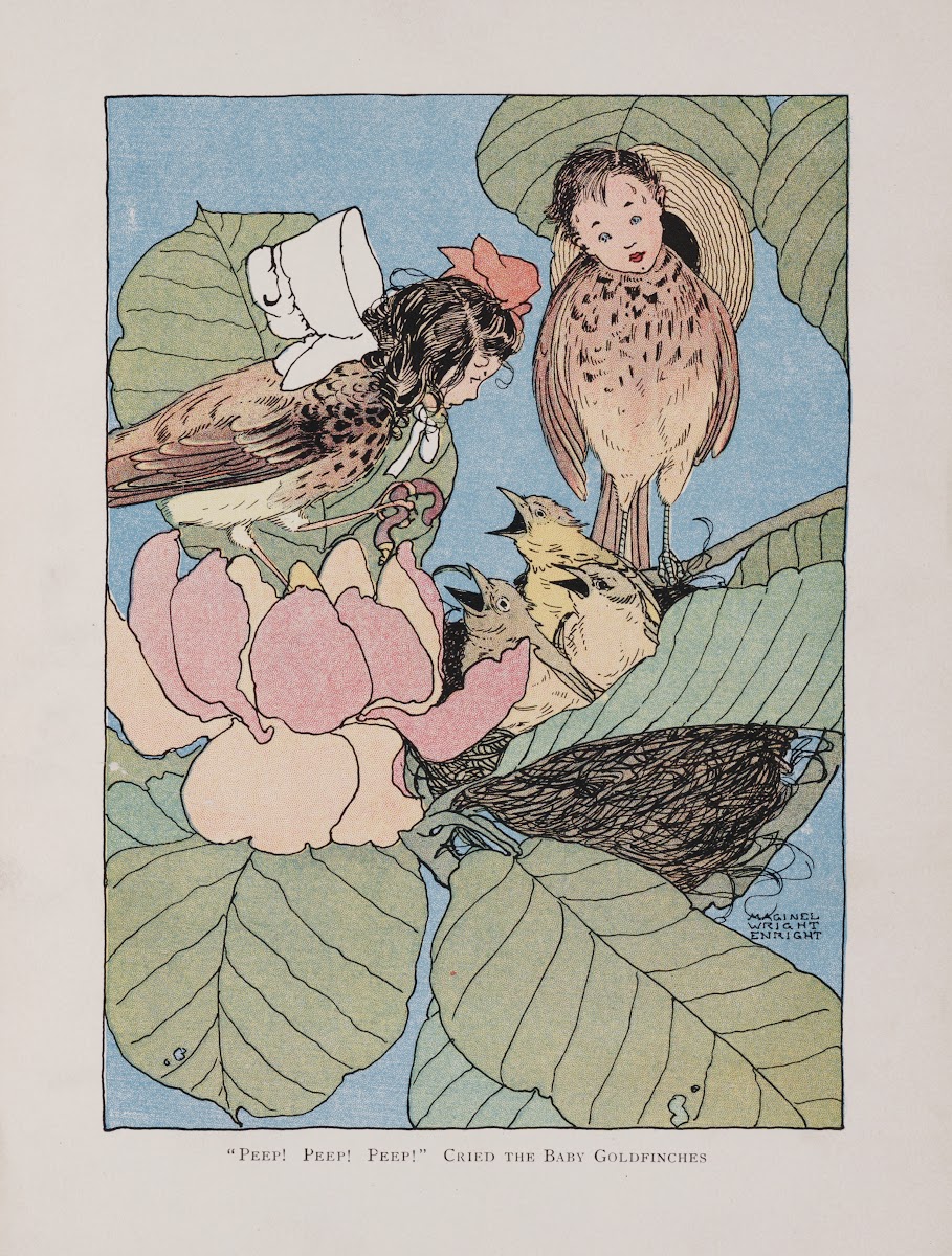 Peep Peep Peep cried the baby goldfinches 1907