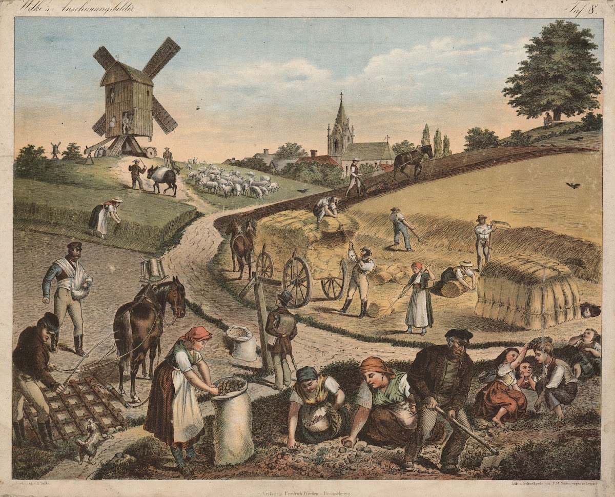 Field Work 1875