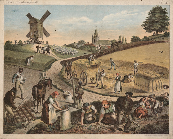 Field Work 1875