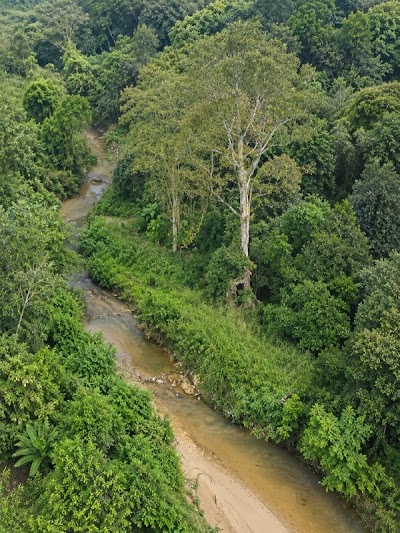 Tanah 2 Ekar Sungai Semungkis — foto 2/10