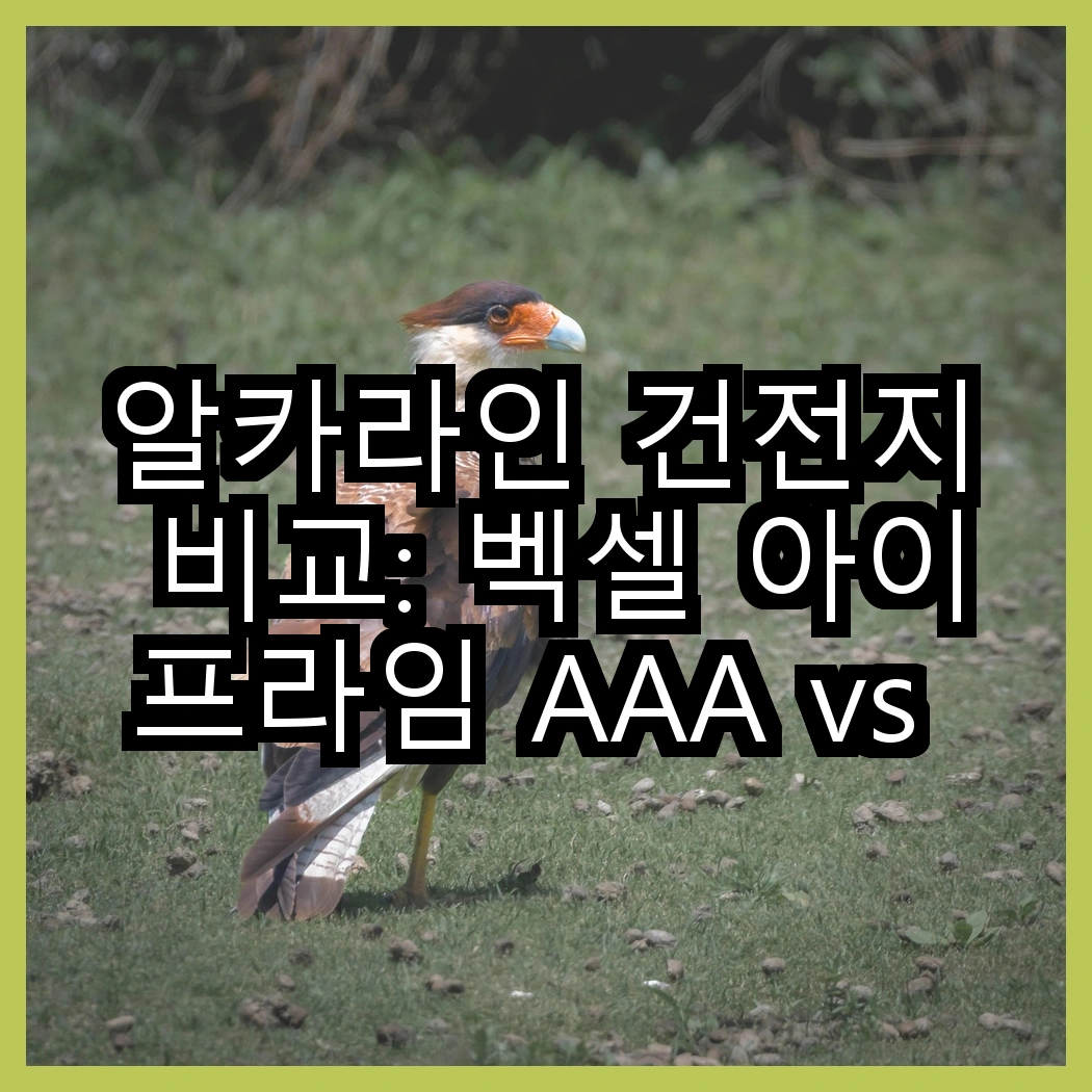 알카라인 건전지 비교: 벡셀 아이프라임 AAA vs 스위스밀리터리 AA, 어떤 선택이 더 나을까? 썸네일