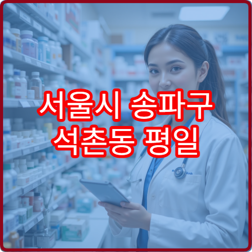 서울시 송파구 석촌동 평일 야간 약국 퇴근 후 들를 수 있는 약국 정리