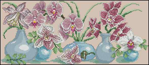 CMP 170209 Flowers In Different Vases
