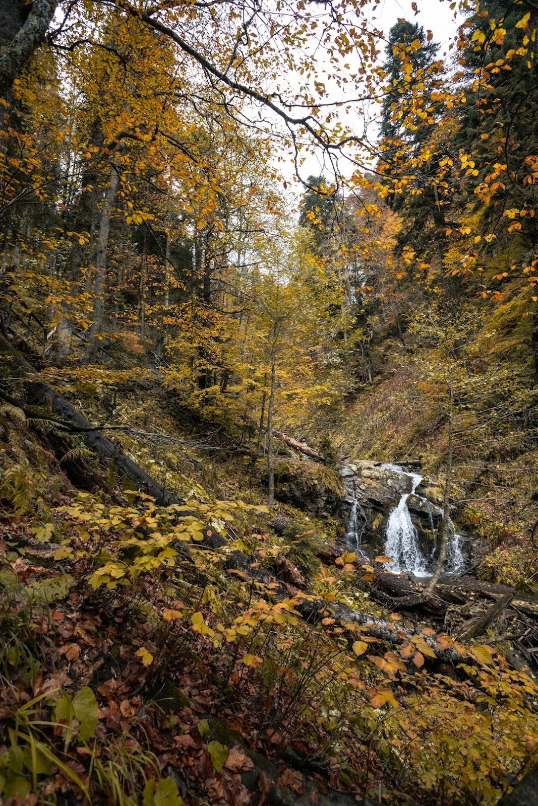 스카이워크 후 힐링 필수! 현지인 추천 단양 맛집 & 카페