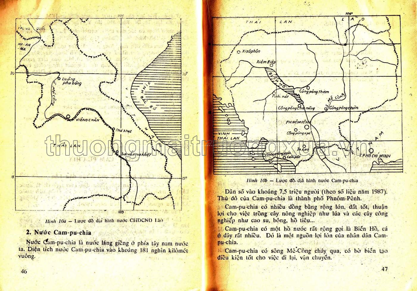 Tìm hiểu tự nhiên và xã hội 4 (1992) - Trang 24