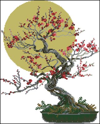 CMP 200654 Pattern