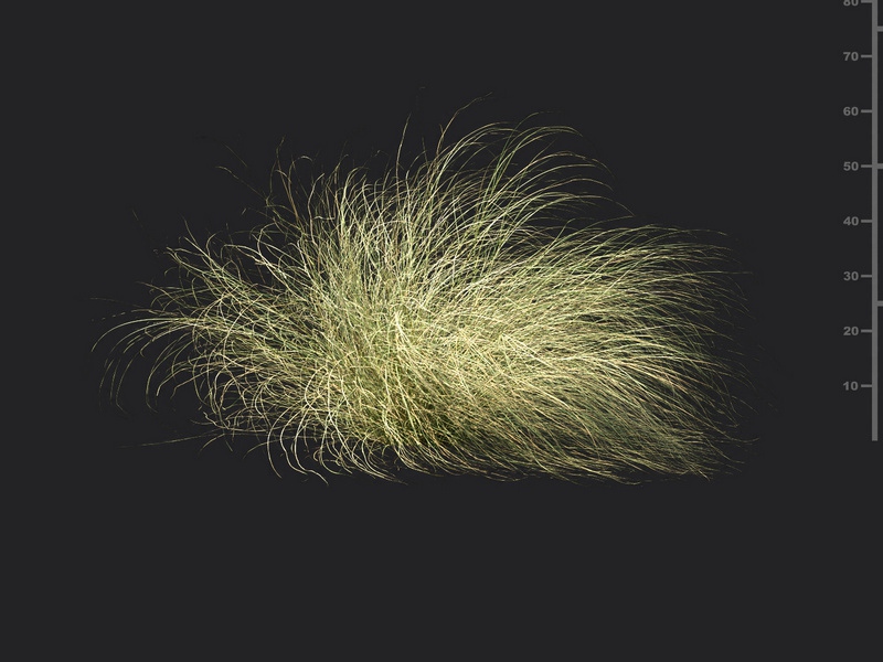 Maxtree - Plant Models Vol.115
